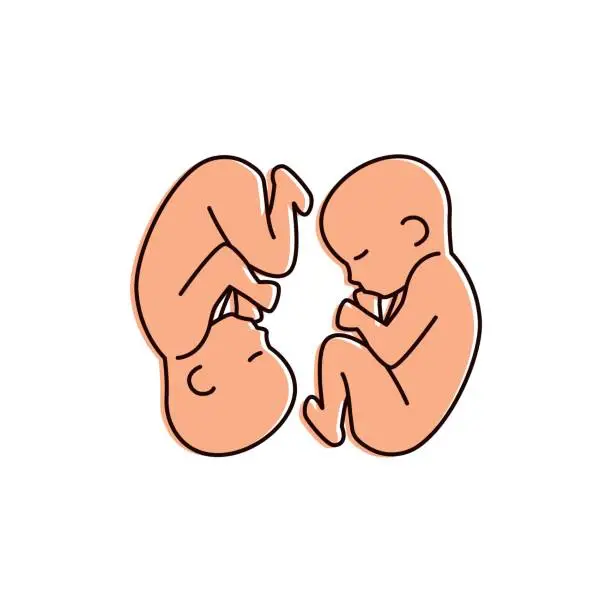 Vector illustration of Newborn twins vector illustration