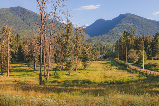 Scenic rural, countryside landscape and barn on a sunny, summer day in the Selkirk Mountain range in the West Kootenays near Balfour, British Columbia, Canada.