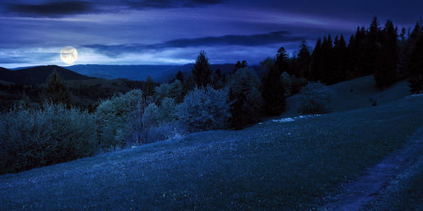 istock beautiful nature scenery in spring at night 1443056445