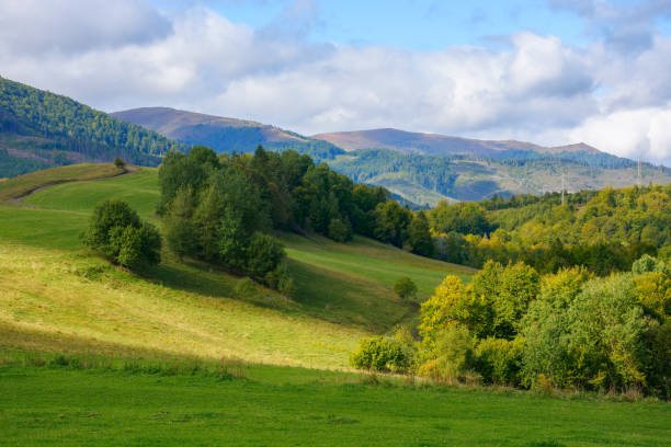 istock carpathian landscape in september 1443056456
