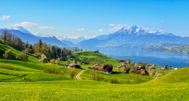 lago dei quattro cantoni e monte pilatus in primavera, svizzera - pilatus foto e immagini stock