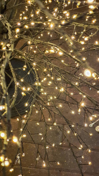 istock Close up of small Christmas lights 1443060573