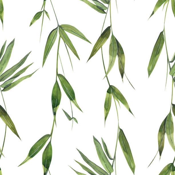 istock Bamboo twigs and leaves are green on a white background. Watercolor illustration. Elegant, lightweight, seamless pattern from the BAMBOO collection. For decoration and design of fabric, wallpaper. 1443065687