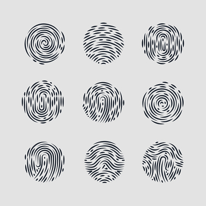 Abstract Round Fingerprint Patterns for Identity Person Security ID on Gray for Design
