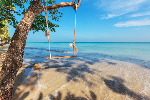 A tree with a swing on the shore of a tropical beach. Koh Chang island. Thailand.