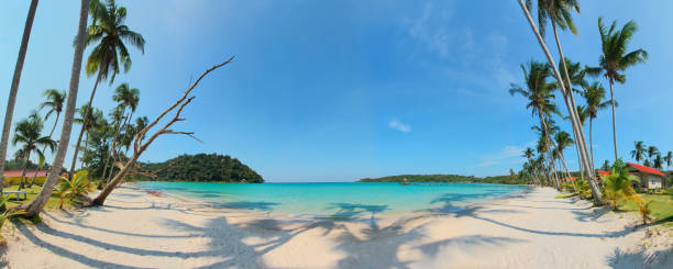 istock Panorama of exotic tropical beach 1443066053
