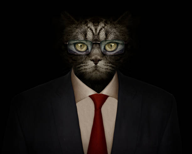 istock muzzle of a cat with glasses and a suit and tie close-up. front view 1443067073