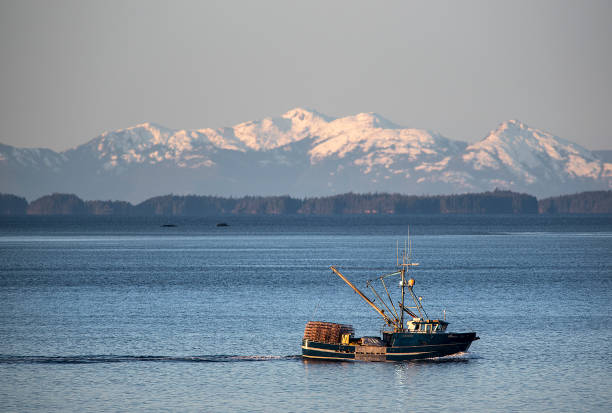 istock alaskan girl 031920 01 1443076050