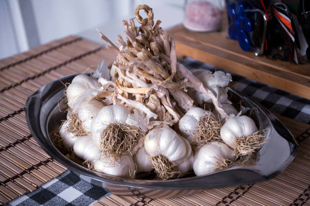 Kastamonu garlic from organic farming