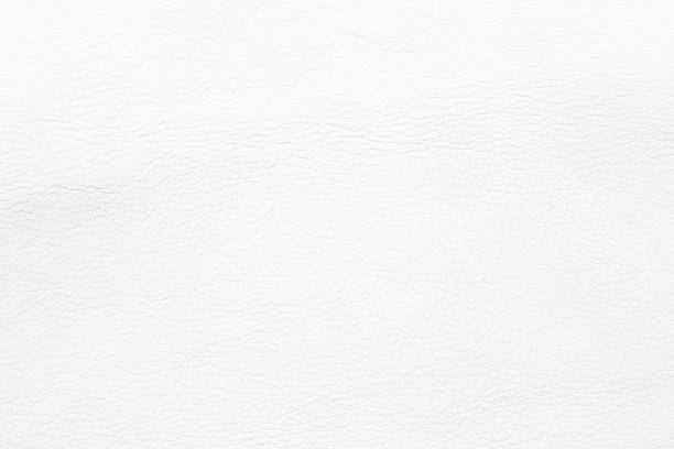 istock white leather texture background. animal skin with natural pattern 1443079324