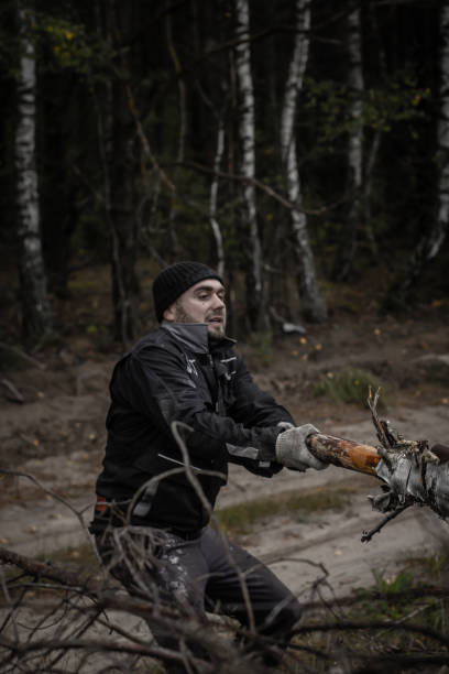 istock A man in work gloves pulls a tree branch with both hands. A Caucasian bearded man sorts out fallen trees to cut them into firewood. Men's work concept. 1443081128