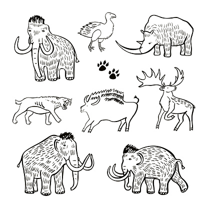 Mammoth ancient animals vector illustrations set.