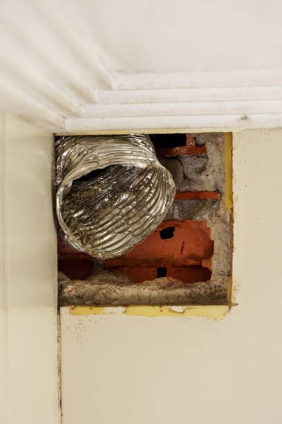 istock Old flexible aluminum ventilation duct with dust and dirt 1443086502