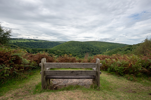 View from Webbers Post of Horner woods in Exmoor National Park