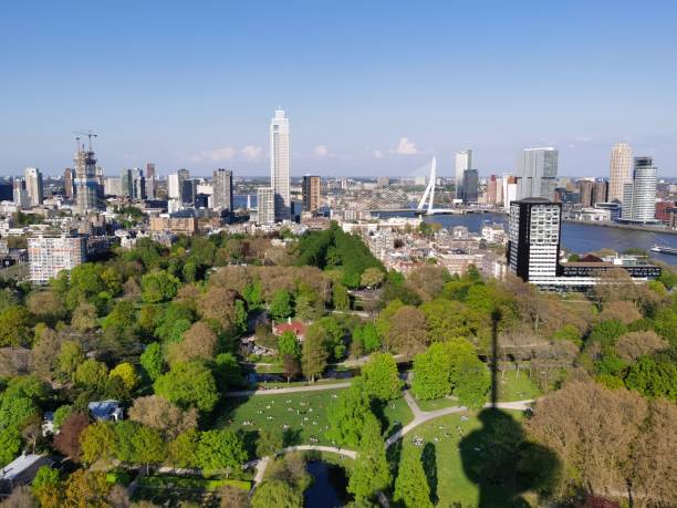 istock The panorama view of Rotterdam 1443091960
