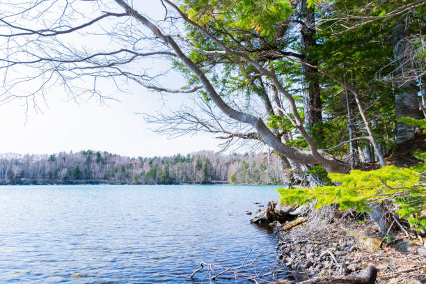 istock onneto lake in early spring in Hokkaido 1443093731