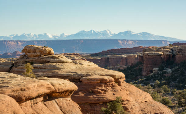 istock The Needles District in Canyonlands National Park 1443099466
