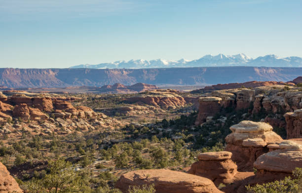 istock The Needles District in Canyonlands National Park 1443099507
