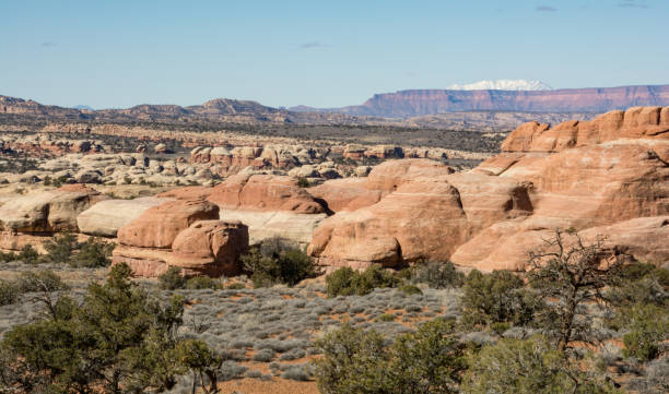 istock The Needle District in Canyonlands 1443099541
