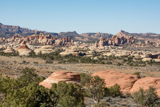 istock The Needle District in Canyonlands 1443099556