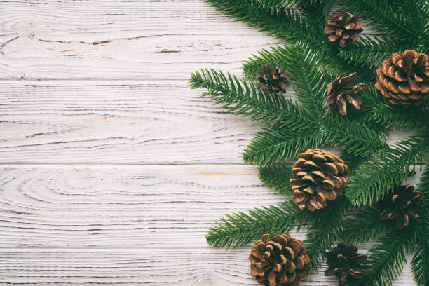 istock Christmas holiday background with copy space for advertising text. Fir branches and pine cone on color background . Flat lay, top view 1443102710