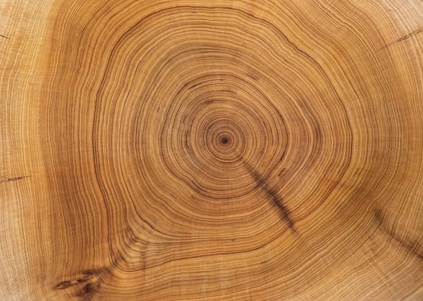 round wood textured background for decoration