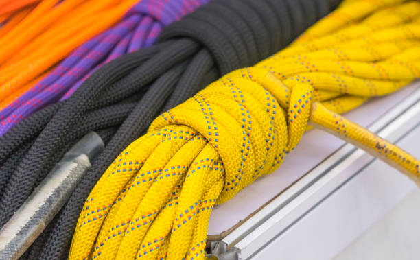 Many different ropes tied into coils hang on the wooden wall of an old ship.