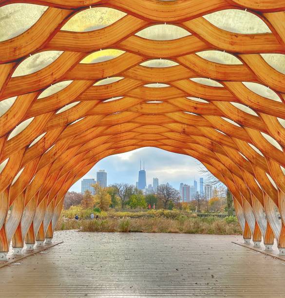 istock Overview of Chicago from Lincoln Park 1443105561
