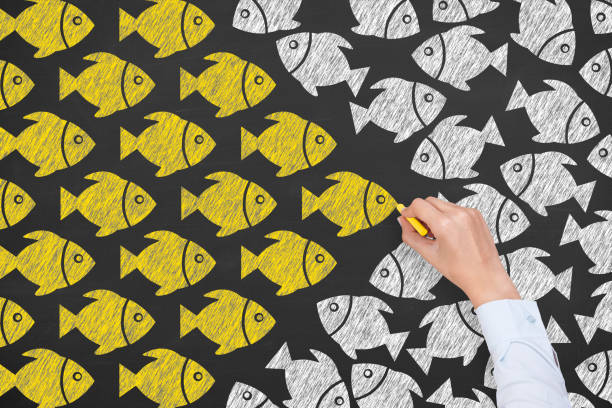 Going Your Own Way with Fishes on Blackboard Background