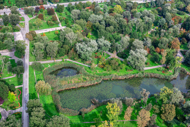 istock City park and lake with from above 1443111700
