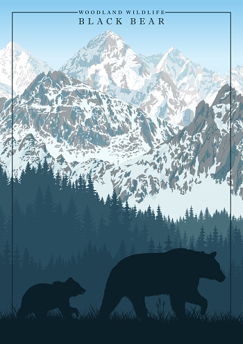 vector mountain in woodland on Rocky mountains with black bear family