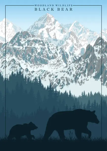 Vector illustration of vector mountain in woodland on Rocky mountains with black bear family