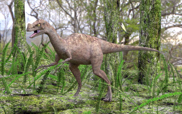 istock Dinosaur Ornitholestes In Forest 1443113330