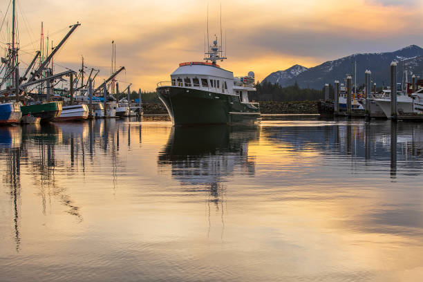 istock Elli-Yacht 112720 01 1443116235