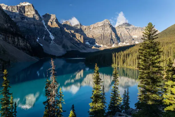 Photo of Early morning view of Moraine Lake with trees in foreground, Banff National Park, Alberta, Canada.