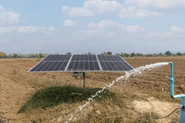 Solar panel for waterpump in agricultural field