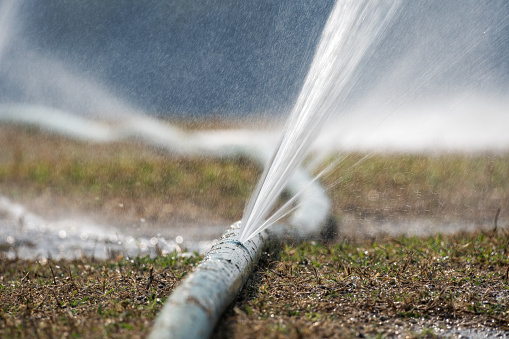 Close-up of unrecognizable woman watering grass in the front yard.