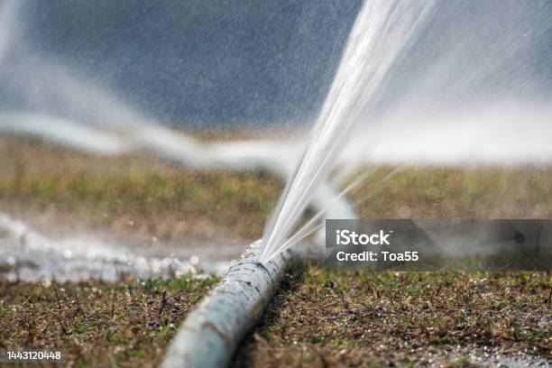 Water Leaking From Hole In A Hose Stock Photo - Download Image Now - Agricultural Sprinkler, Problems, Leaking