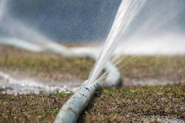 water leaking from hole in a hose. - commercial sprinkler system imagens e fotografias de stock
