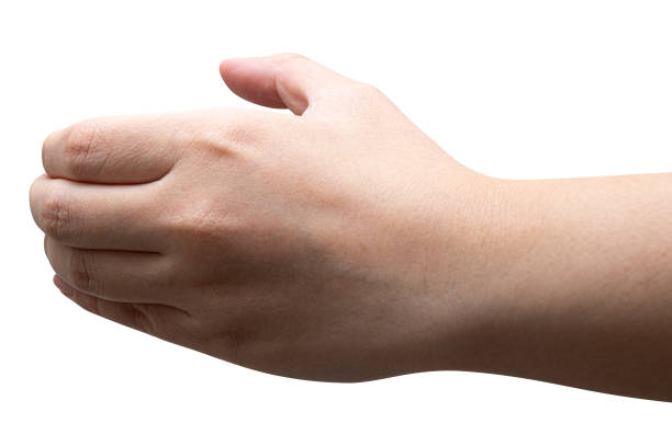 istock isolated of a woman's hand holding something. 1443125825
