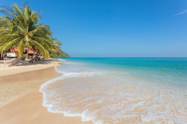 istock White sand beach at Koh Chang island 1443127589