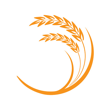 Agriculture Wheat logo template vector icon design