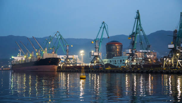 istock Shipping cargo port. Container terminal and ship unloading at pier. Trade and logistic concept 1443127613
