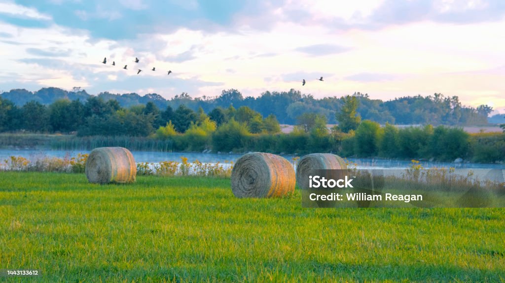 Hay Rolls with lake and rising geese at sunrise-Howard County, Indiana Indiana Stock Photo