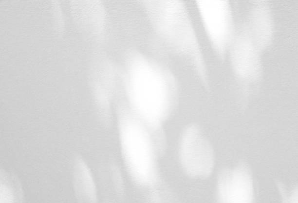 istock Abstract shadow of leaves on a white wall 1443135381