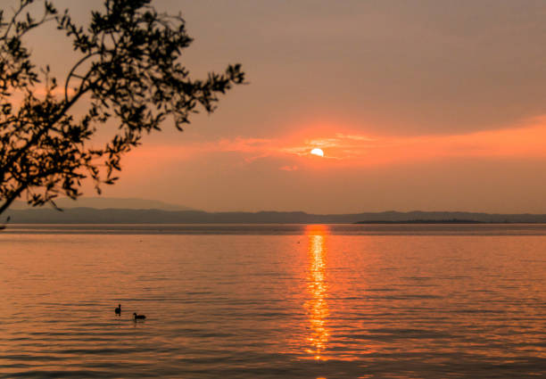 istock Malcesine,Italy pictures 1443138280
