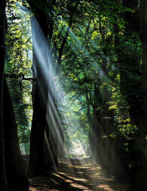 istock Beautiful Utrecht,Netherlands pictures 1443141940