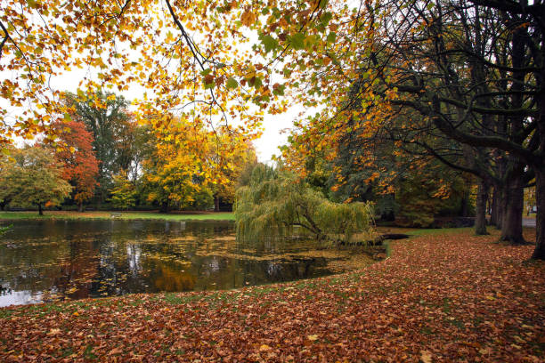 istock Beautiful Utrecht,Netherlands pictures 1443142514