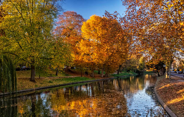 istock Beautiful Utrecht,Netherlands pictures 1443142588