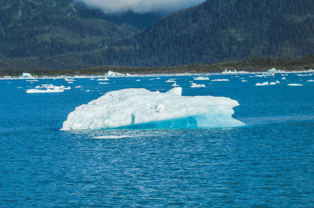 istock Ice Bergs of Alaska 1443151919